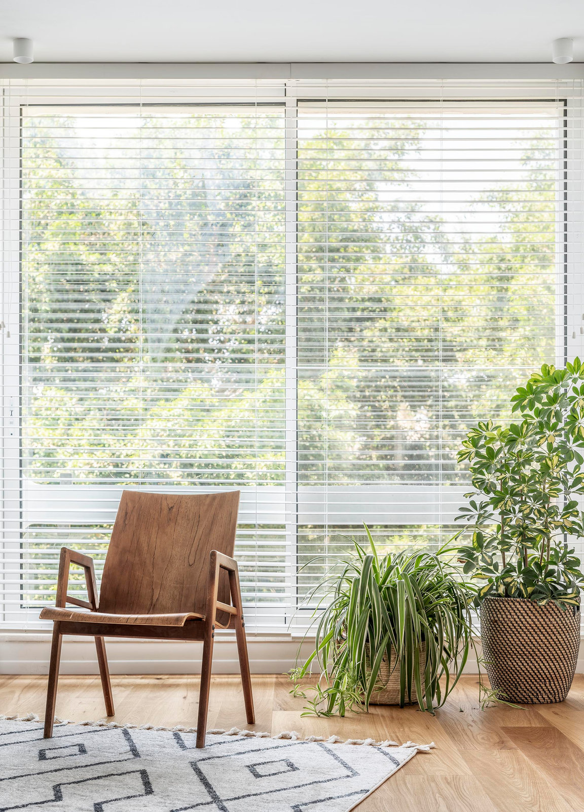 IT Apartment | Apartment | Tel Aviv